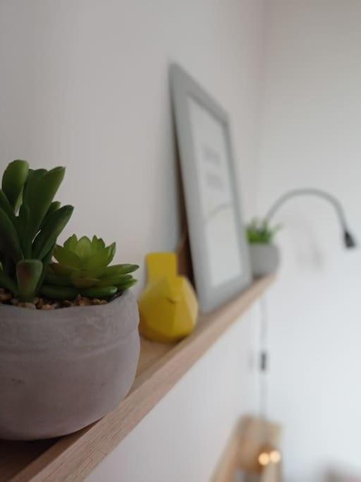 Little Bahia Apartment Saint-Malo Bagian luar foto